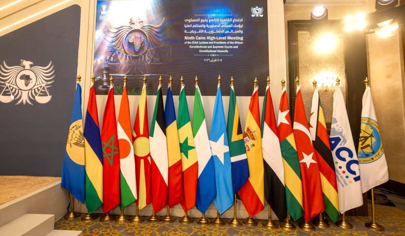 editadoPARADIGM (Pequeno) 